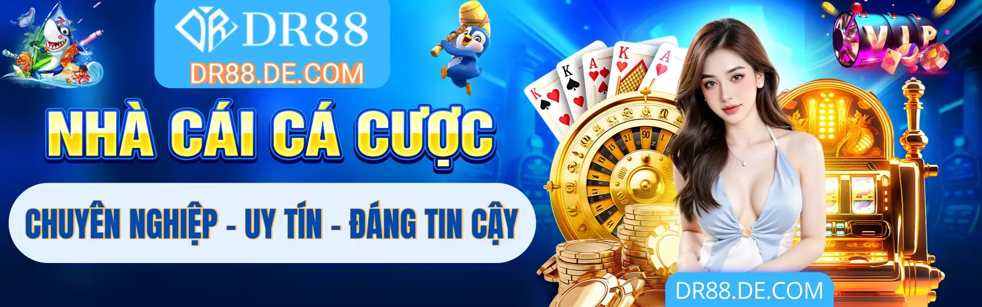 Banner dr88