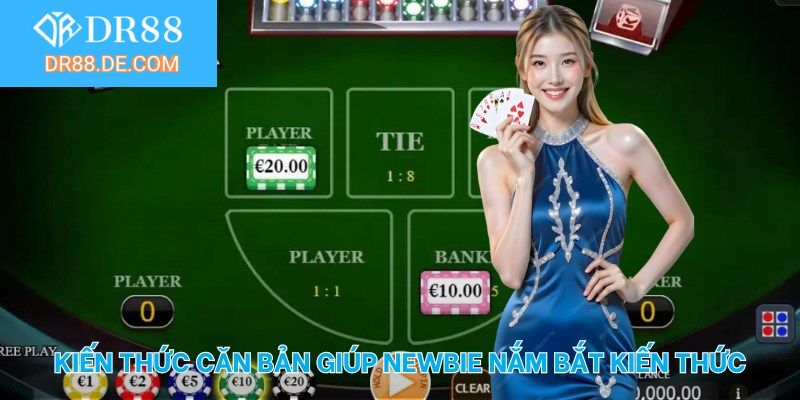 Kiến thức căn bản giúp newbie nắm bắt kiến thức