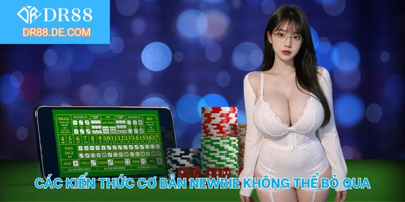 Các kiến thức cơ bản newbie không thể bỏ qua