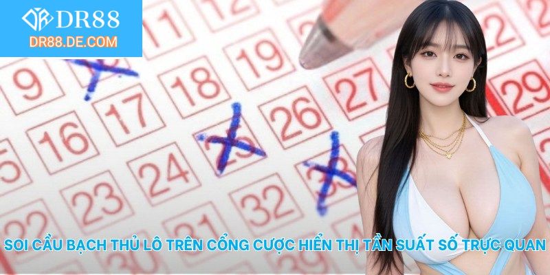 Soi cầu bạch thủ lô trên cổng cược hiển thị tần suất số trực quan