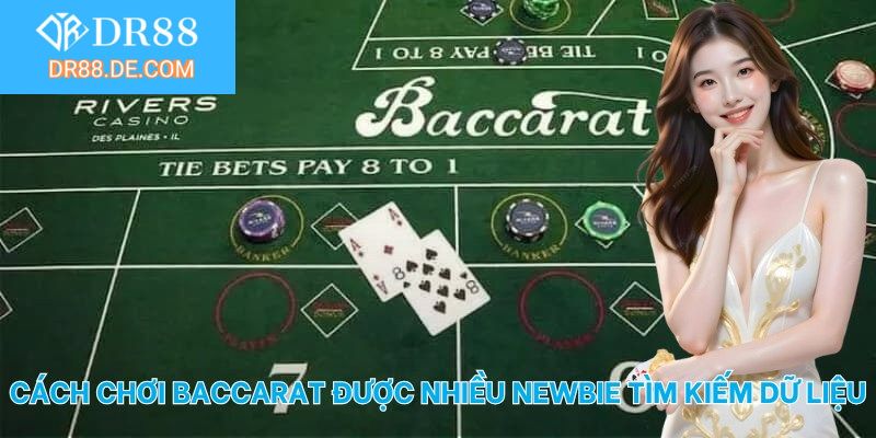 Cách chơi baccarat được nhiều newbie tìm kiếm dữ liệu