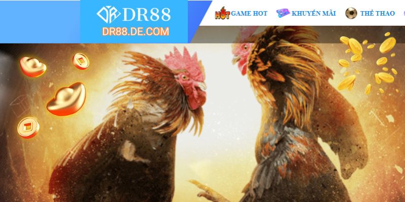 Gà đá trực tuyến siêu nét với độ cạnh tranh cao tại DR88