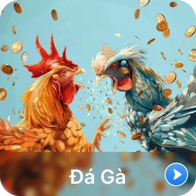 Favicon đá gà dr88