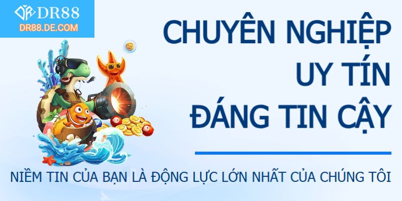 Thương hiệu DR88 thể sự uy tín và chuyên nghiệp qua sự phát triển